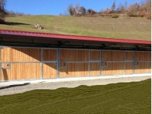 all'inglese con spiovente 1